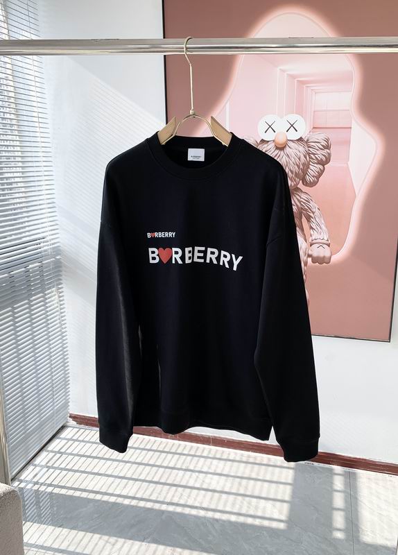 Burberry Sweatshirt Wmns ID:20241204-48